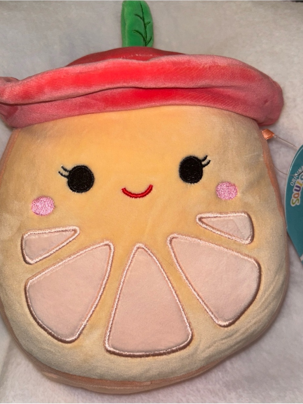 CeliaB Orange Plush Slice with Red Hat and Green Leaf
